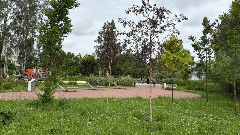 Власти Петербурга продолжают борьбу с жителями за сквер в Парголово: активистам угрожают перцовым баллончиком