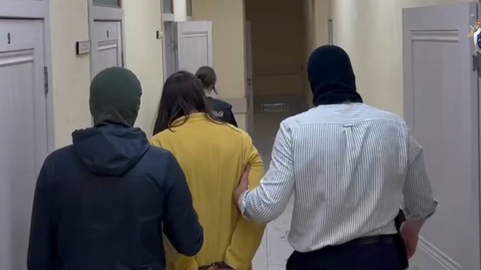 Петербургские силовики задержали молодого длинноволосого комментатора по статье о публичных призывах к терактам