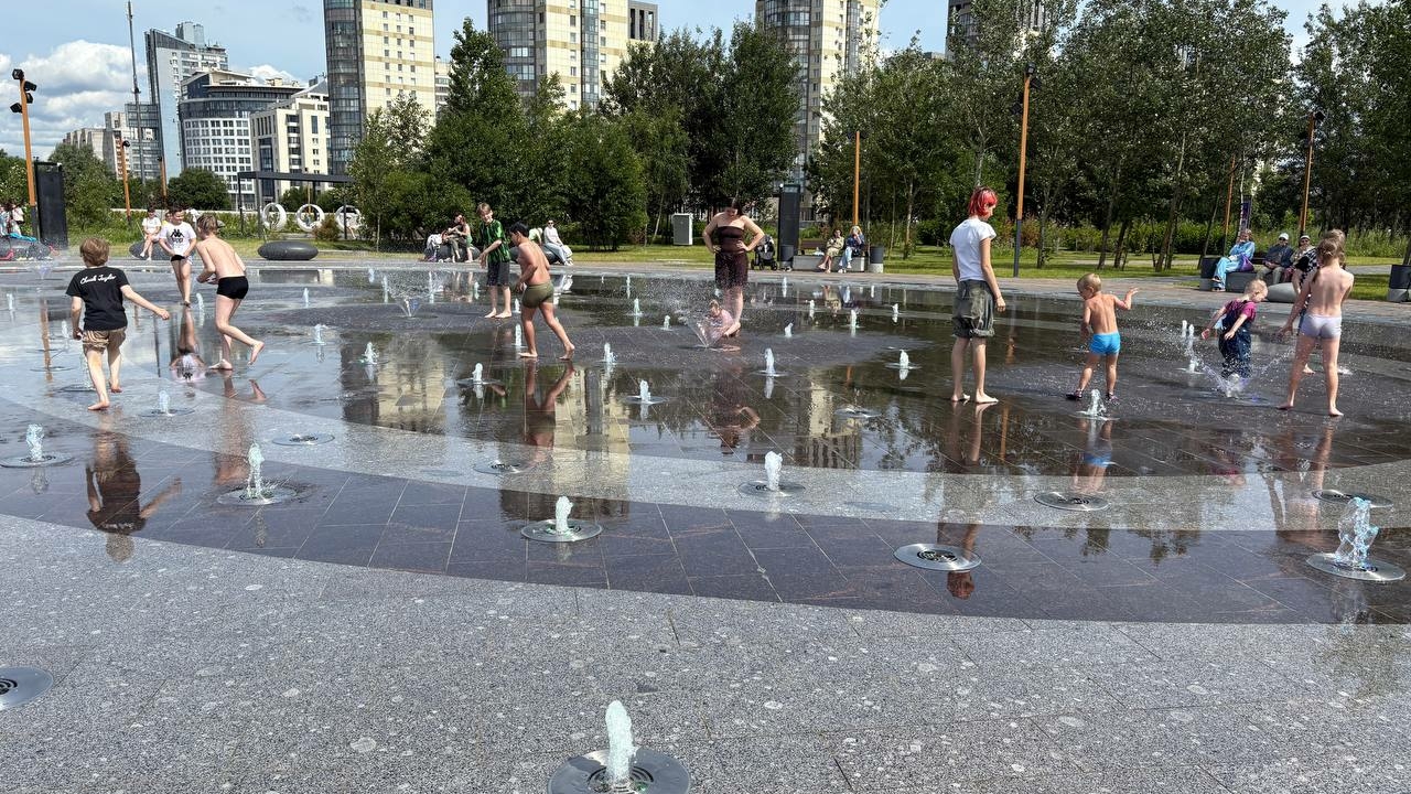 Намывные территории Петербурга: от строительной площадки к зеленому оазису