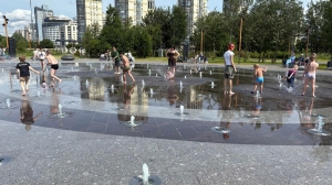 Намывные территории Петербурга: от строительной площадки к зеленому оазису