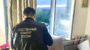 В российском городе москитная сетка не выдержала веса двухлетней: малыша выпала из окна второго этажа