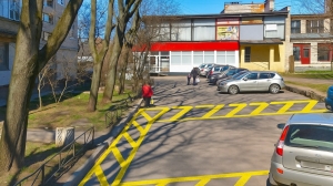 В Петербурге предложили обозначать маркировкой места стоянки спецтранспорта во дворах