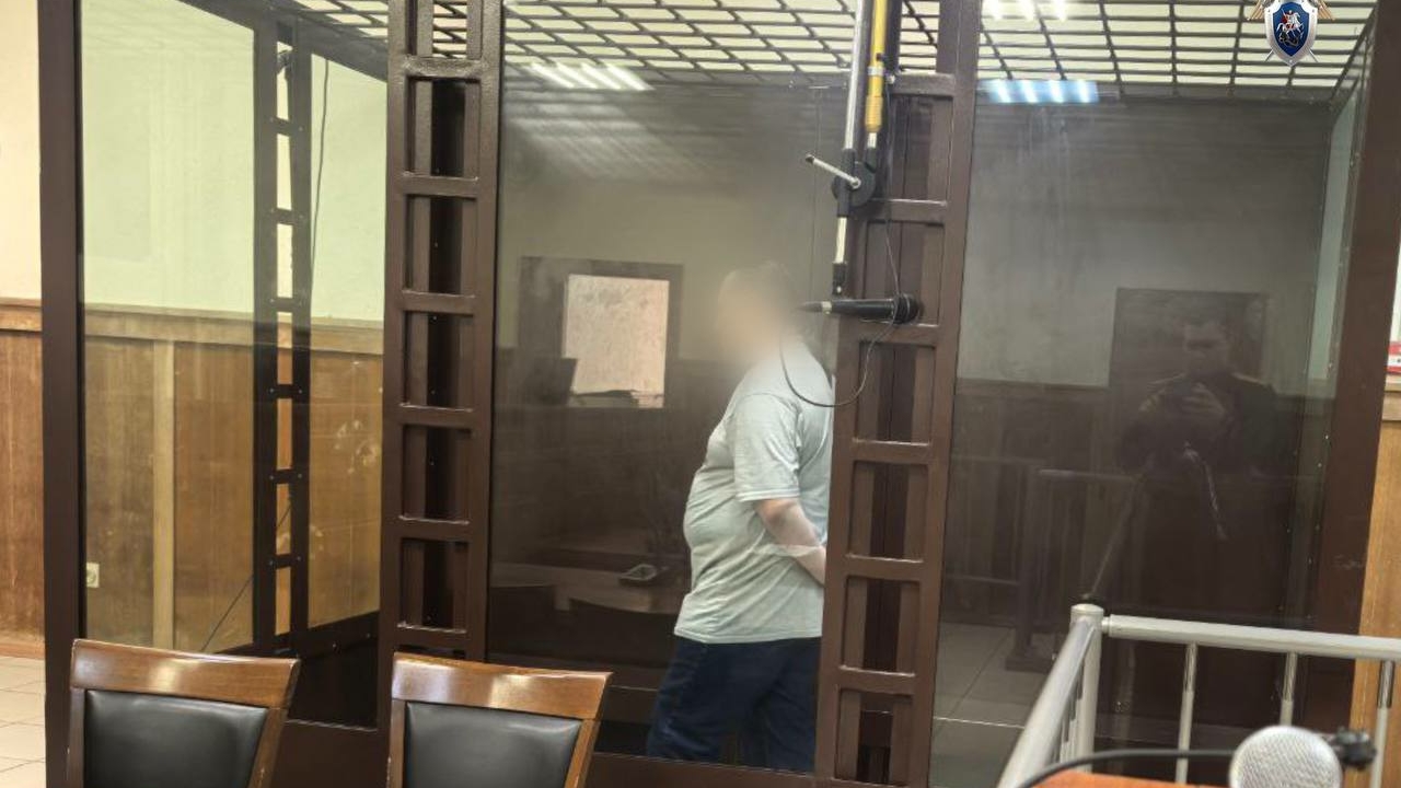 Напоил алкоголем и надругался: в СИЗО отправили мужчину, обвиняемого в изнасиловании двух школьниц на улице Стойкости