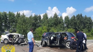 Годовалый малыш оказался единственным выжившим в смертельном ДТП под Новосибирском