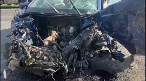 Полиция разбирается в смертельной аварии в Ленобласти