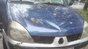 Судимый агрессор из ЛО набросился на припаркованную машину: авто вдребезги