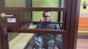 Едва не убил: в Подмосковье избрали меру пресечения инвалиду, избившего битой 11-летнего пасынка