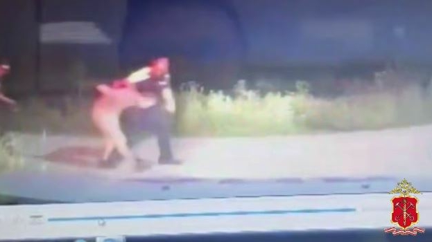 Рванул в поле после выстрела: под Гатчиной сотрудники ГАИ поймали пьяного гонщика