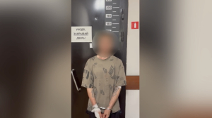 Перелез через забор и оказался на крыльце отдела: в Кудрово разбойник сам попался в руки полиции