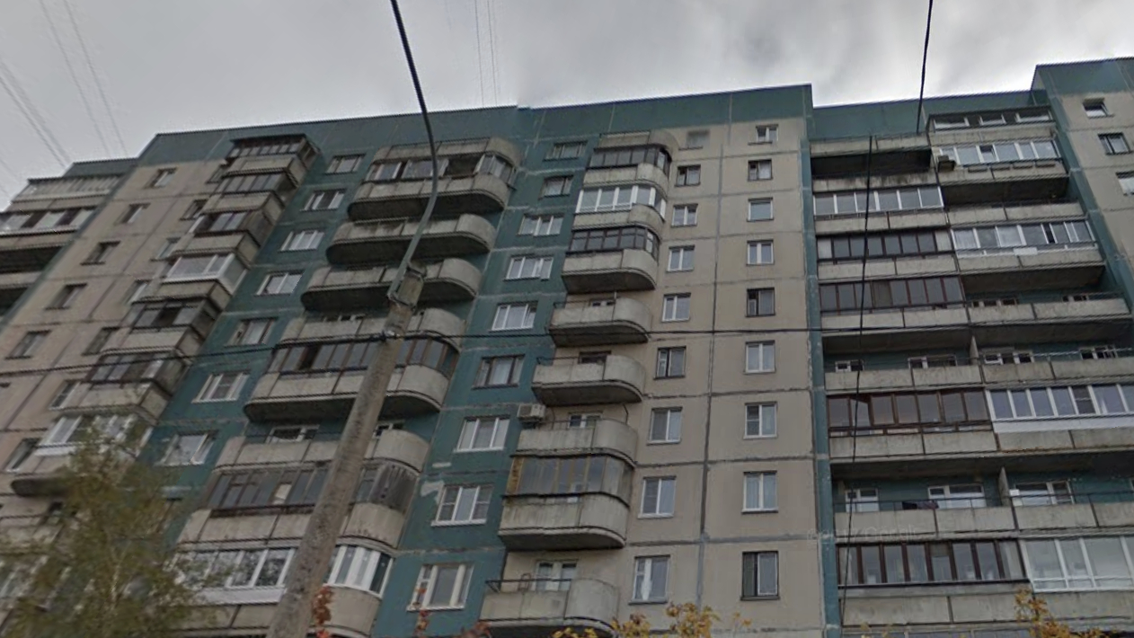 Из горящей квартиры на Джона Рида спасли кошку, собаку и их хозяйку