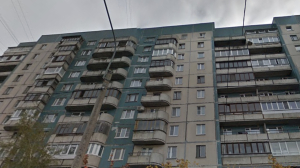 Из горящей квартиры на Джона Рида спасли кошку, собаку и их хозяйку
