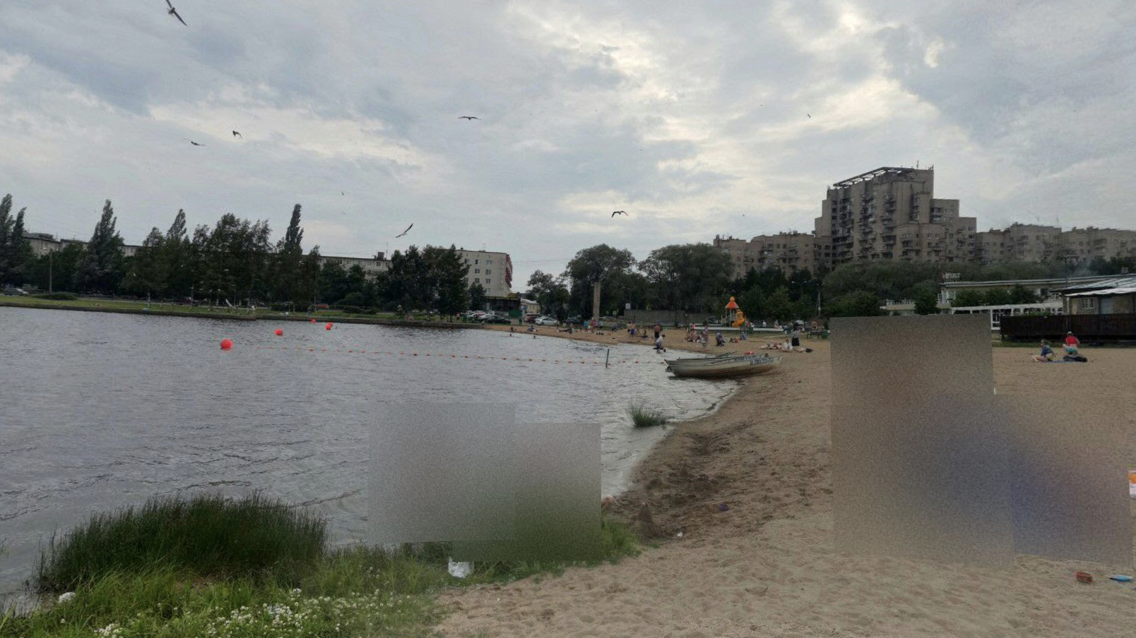 Нашествие змей продолжается: рептилия укусила мальчика за стопу на пляже в Сестрорецке