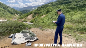 Набросился на палатку: прокуратура и СК проводит проверку после нападения медведя на туристку на Камчатке