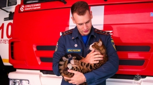 Примкнул к стае: в 10-й пожарно-спасательной части Петербурга рассказали о хвостатом Игоре