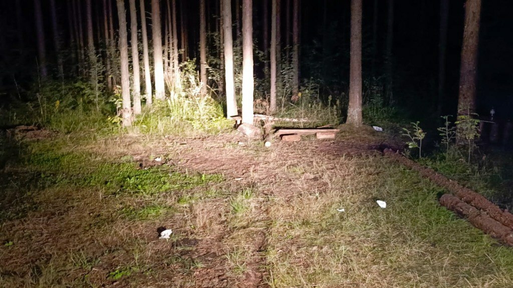 СК возбудил уголовное дело: пострадавший из-за взрыва мины в лесу у СНТ «Дружба» 11-летний мальчик умер