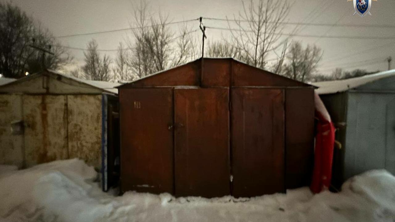 Петербургский извращенец получил 17 лет строгача за порнографические уроки для детей в гараже