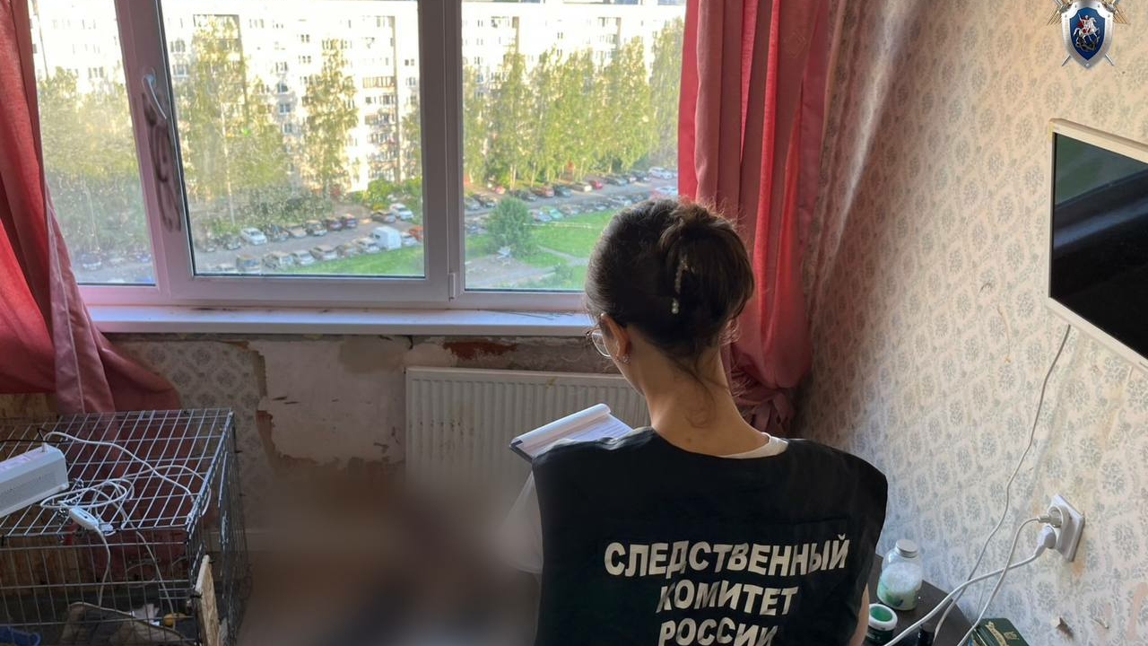 Конфликт под градусом: петербурженку обвинили в убийстве матери-пенсионерки в доме на улице Доблести