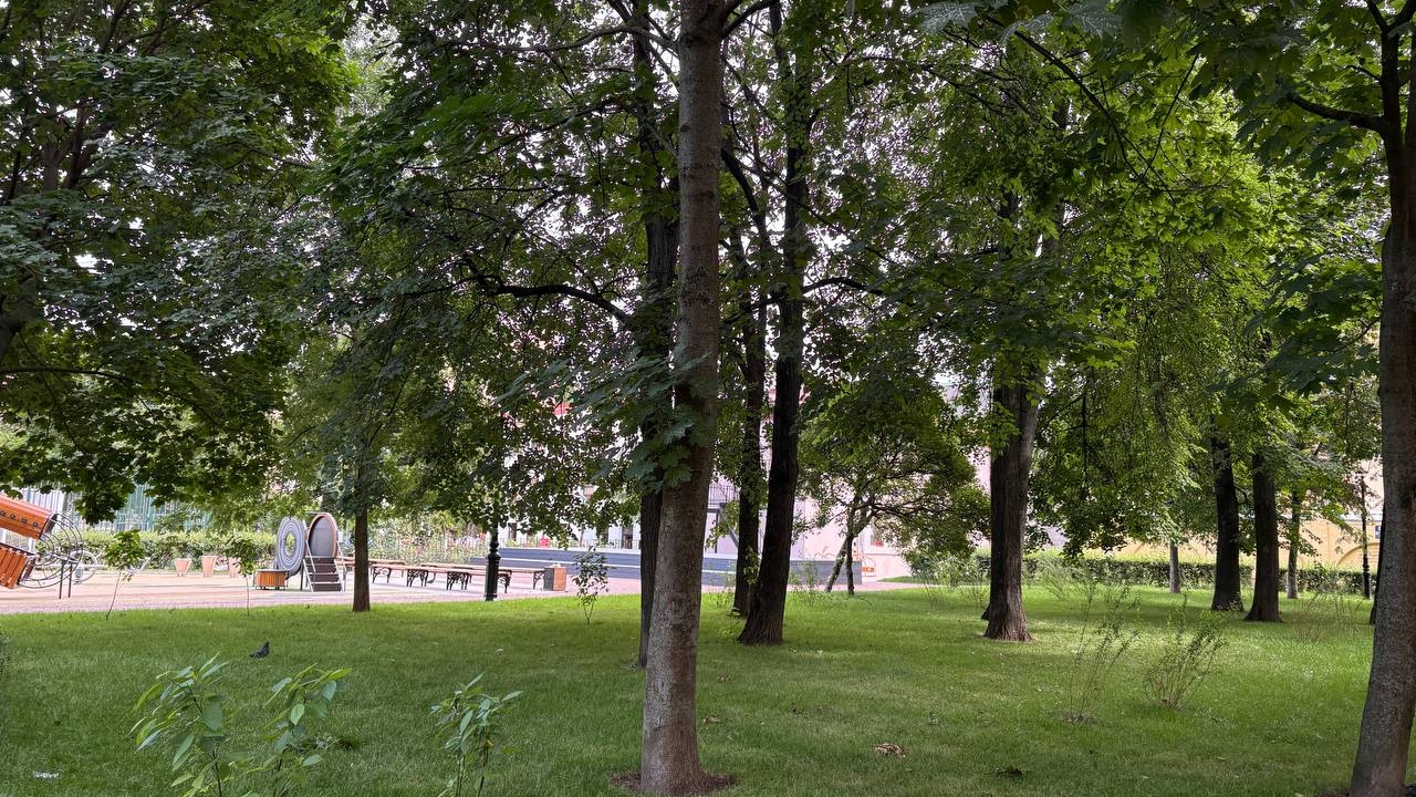 В Петербурге планируют увеличение площади зеленых зон