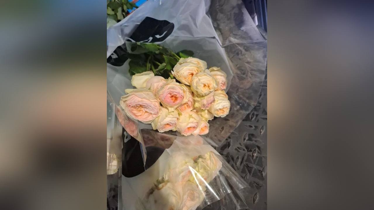 «Подарок» из Латвии: сотню кенийских роз сожгли в Петербурге из-за паразитов на шипах