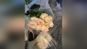 «Подарок» из Латвии: сотню кенийских роз сожгли в Петербурге из-за паразитов на шипах