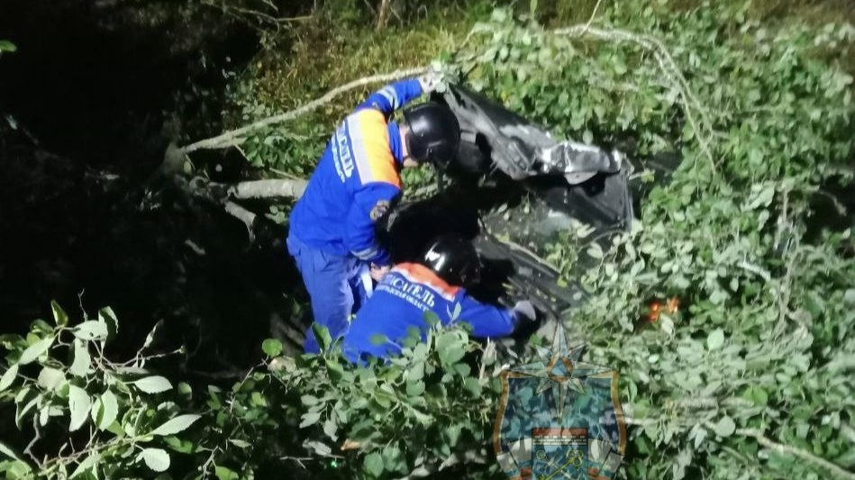 В реанимации спасают 7-летнего пассажира: водитель Ford Kuga врезался в дерево под Петербургом