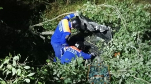 В реанимации спасают 7-летнего пассажира: водитель Ford Kuga врезался в дерево под Петербургом