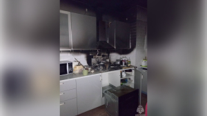 В Петербурге кот едва не спалил квартиру после прогулки по плите на кухне