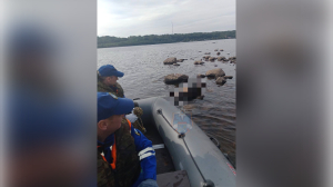 Спустя сутки поисков исчезнувшего на реке Свирь спасатели нашли труп