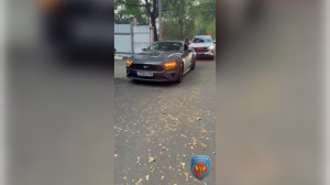 Авто на спецстоянке: рассекавший по Петербургу на Ford Mustang стритрейсер может нарваться на уголовку