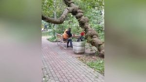 Дворник в центре Петербурга борется с осенней хандрой с помощью баночки пива