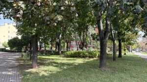 Выпускник ГУАП разработал интеллектуальную инновацию в Санкт-Петербурге