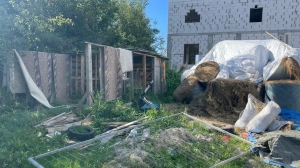 Насчитали 25 коров и 45 свиней: прокуратура заинтересовалась нелегальной фермой в Горелово