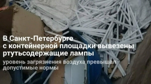 Петербуржцы вдыхали загрязненной ртутью воздух: более 560 опасных ламп угрожали здоровью жителей