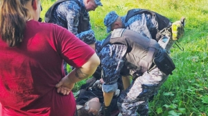 Петербургская пенсионерка два дня жила в лесу без воды: во всем виноваты грибы?