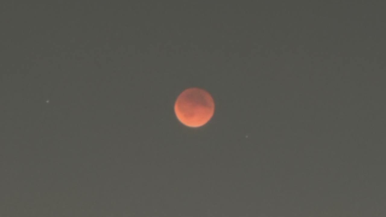 Над Петербургом взошла кровавая Луна в затмении — фото