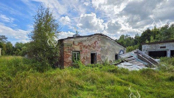 «Оранжерея» дачи Романовых в Старом Петергофе выставят на продажу: она единственная сохранилась до наших дней