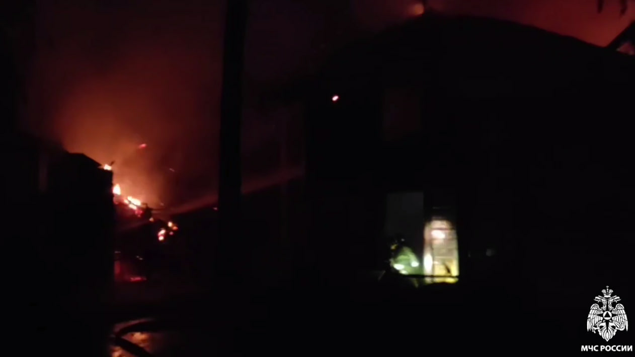 Пожар в новосибирском зоопарке: погибли альпаки и ламы