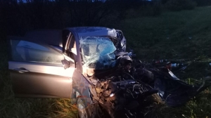 Полиция проводит проверку после смертельного ДТП на «встречке» в Ленобласти