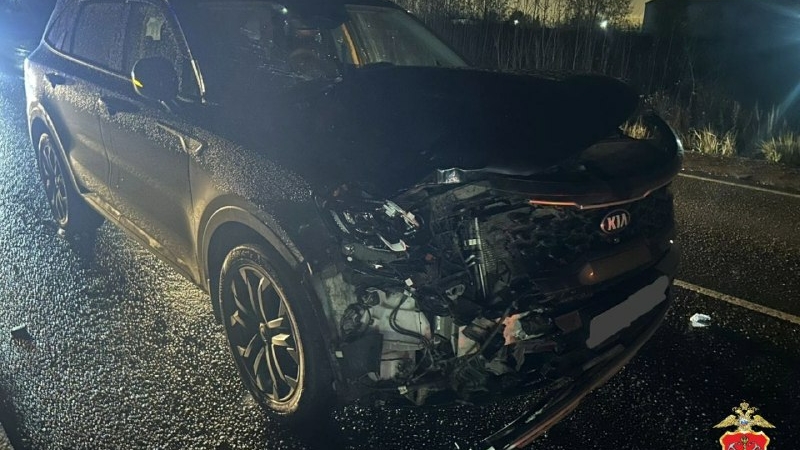 Водитель Kia Sorento насмерть сбил пешехода на неосвещенном участке дороги «Ропша – Марьино»