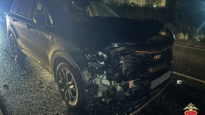 Водитель Kia Sorento насмерть сбил пешехода на неосвещенном участке дороги «Ропша – Марьино»