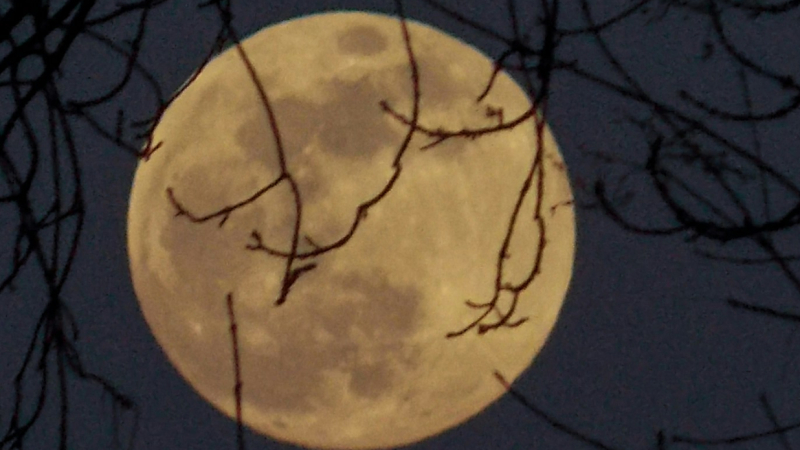 Ночное чудо над Петербургом: фото уникального суперлуния в октябре 2025, которые удивят любого — во сколько их делать?