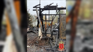 В Ленобласти рецидивист спалил дом своей бабушки из-за просьб найти работу