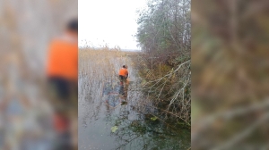 Под Приозерском спасатели выловили труп