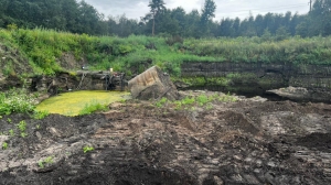 В Петербурге задержали бизнесмена за свалку опасных отходов на «Невском пятачке»