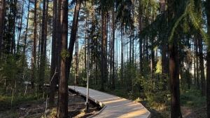 Петродворцовый район получил благоустроенное общественное пространство с экотропой