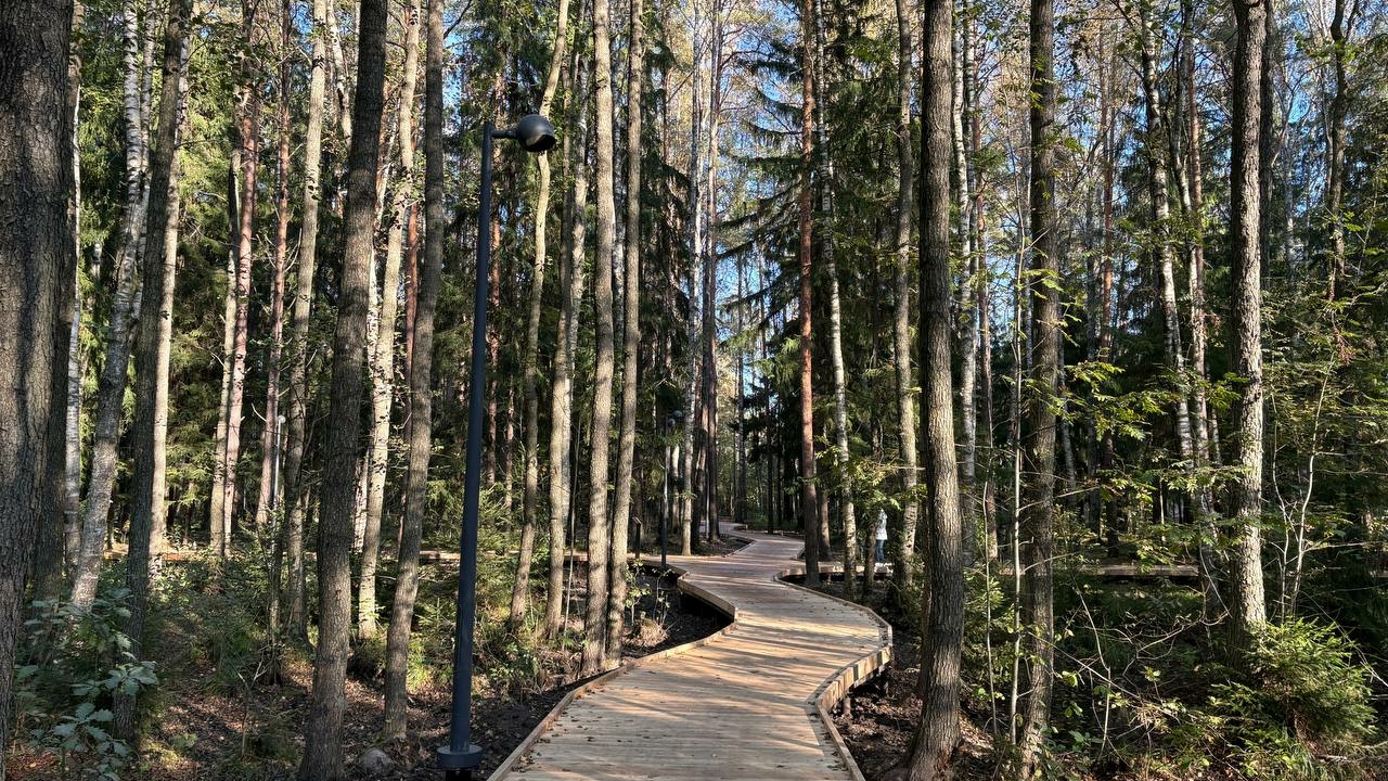 Доля «Зеленого бюджета» в Петербурге составит 7,2%: отдельно графу власти выделили впервые 