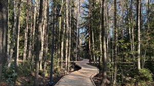 Доля «Зеленого бюджета» в Петербурге составит 7,2%: отдельно графу власти выделили впервые 