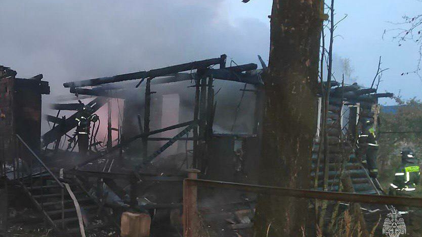 Мать с тремя детьми погибла в пожаре в доме в Ленобласти: что известно