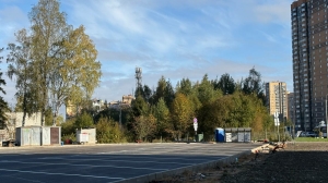 Жители Заречной улицы проиграли сражение за зеленую зону возле детской площадки