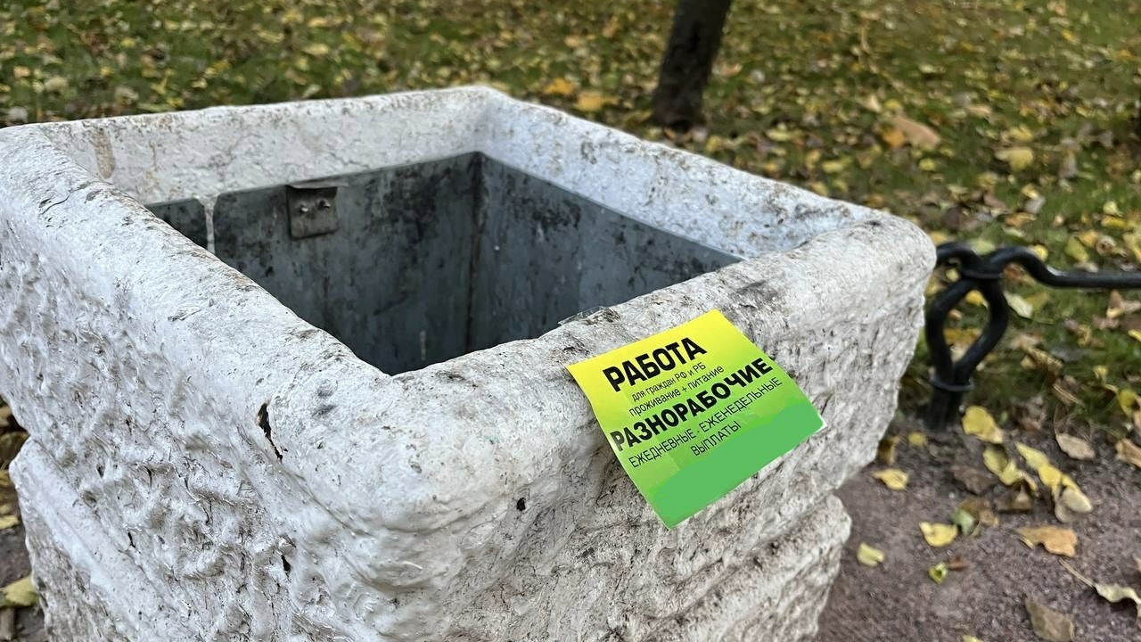 Петербуржцы ищут работу примерно пять месяцев